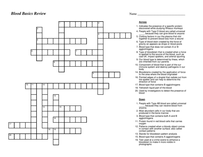 Blood crossword puzzle answer key