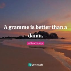 A gramme is better than a damn