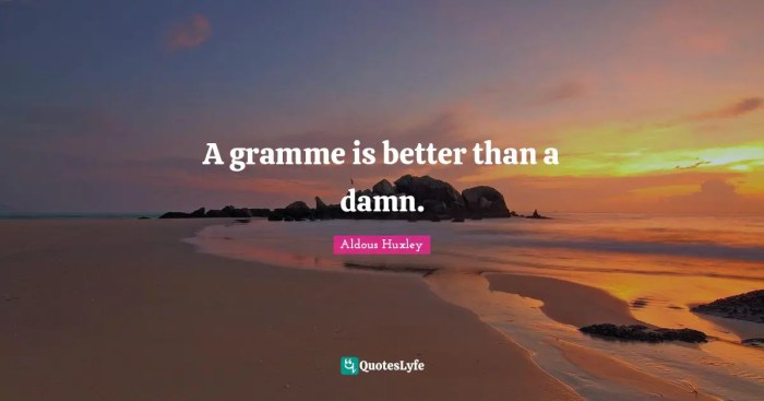 A gramme is better than a damn