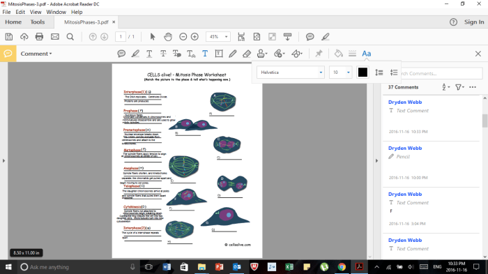 Cell worksheet cycle answer key matching meiosis mitosis cells animal science answers division worksheeto chessmuseum match biology coloring life worksheets