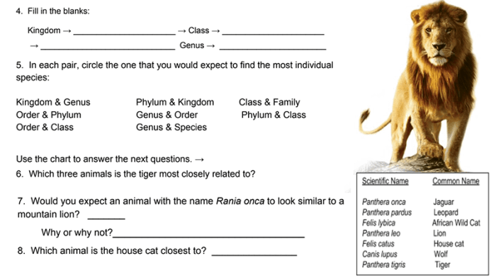 Classification taxonomy worksheet answer key