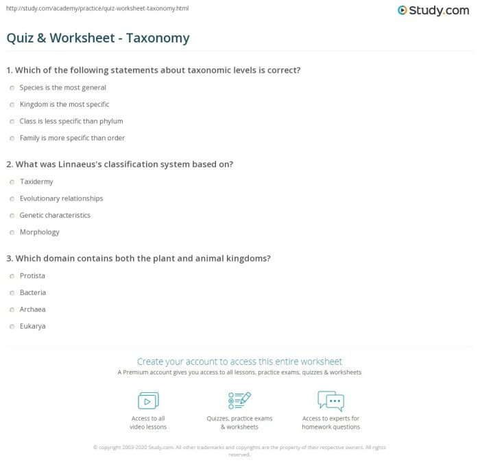 Classification taxonomy worksheet answer key