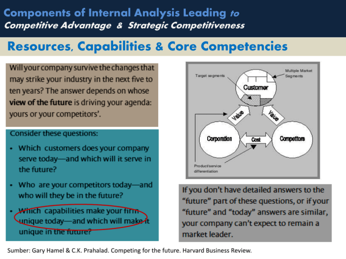 Organizing firm-specific resources and capabilities as a bundle